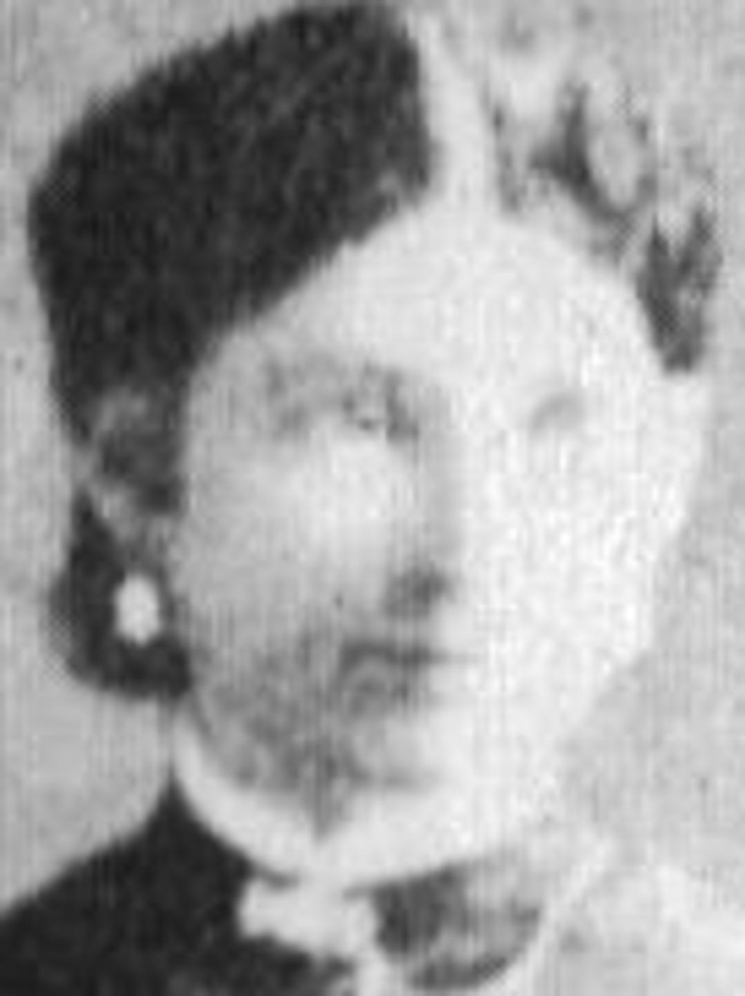 Julietta Amelia Jenkins (1856 - 1909) Profile